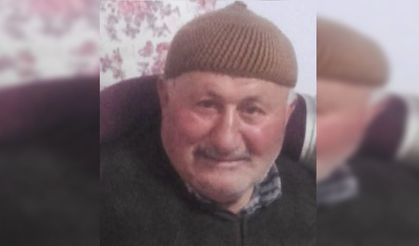 Park Halindeki Minibüste Ölü Bulundu