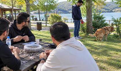 Tatlı Tatlı Çekirdek Yemenin Acı Cezası Oldu