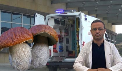 Doç. Dr. Doğan, Mantar Zehirlenmelerine Karşı Uyardı