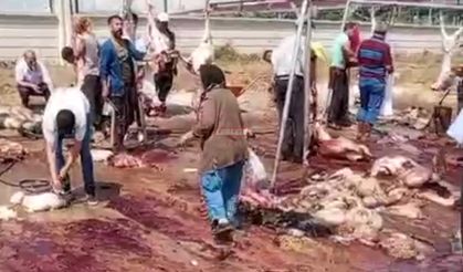 Kurban Kesim Yerleriyle İlgilenen Olmayınca Temizliğin De Adı Kaldı