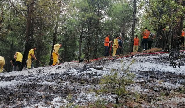 Çorum'da Orman Yangını: 1 Hektar Alan Kül Oldu!