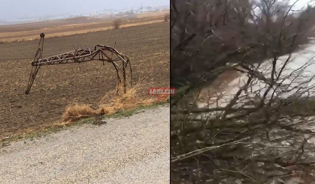 Fırtına Köy Yolundaki Ağaçları ve Elektrik direklerini Devirdi