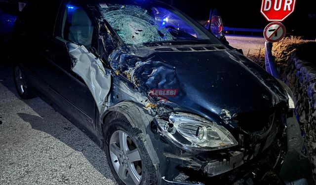 Bariyerlere Çarparak Durabildi