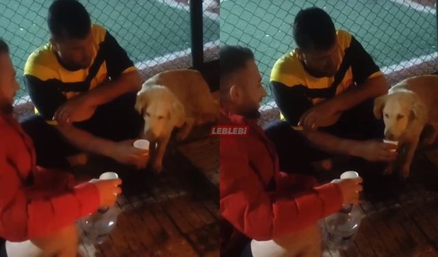 Sporcular Sokak Köpeğine Bardakla Su İçirdi