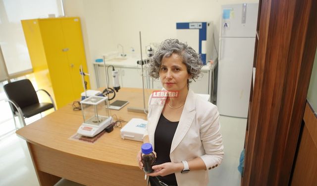 Hitit Üniversitesince Geliştirilen "Nanotüp İşleme Yöntemi" Tescillendi
