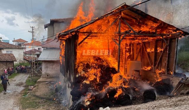 Feci Yangın! İki Ev ve Samanlık Kül Oldu