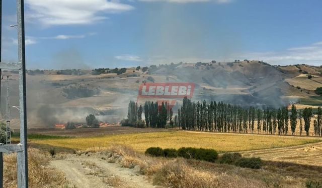 Karacaören Köyü’nde Ekili Arazilerde Korkutan Yangın