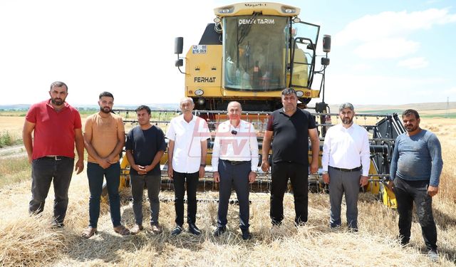 Alaca’da Hasat Dönemi Başladı