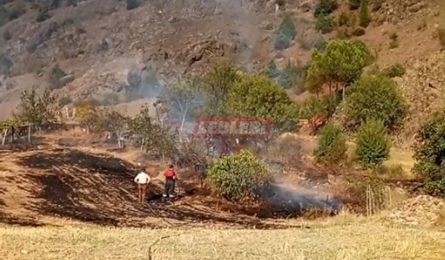 Havdan Köyü'nde Anız Yangını Evlere Sıçradı