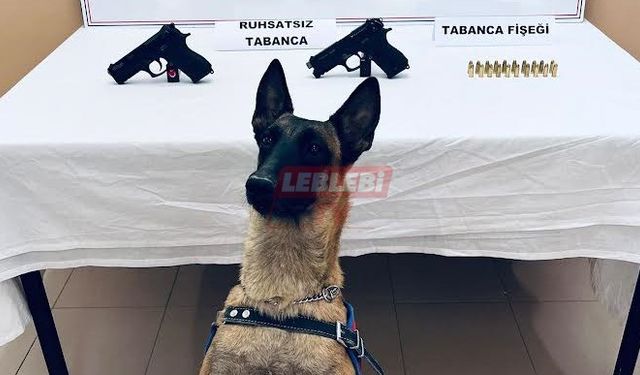 Bomba Arama Köpeği Arşiv, Suçlulara Göz Açtırmıyor