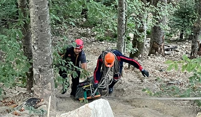 Bolu'da uçuruma yuvarlanan otomobilin sürücüsü öldü