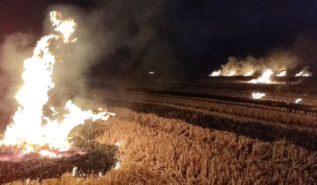 Tarım arazisinde çıkan yangın söndürüldü