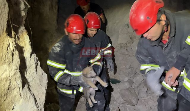 İki Minik Dostumuz İtfaiye Kahramanlarıyla Hayata Tutundu