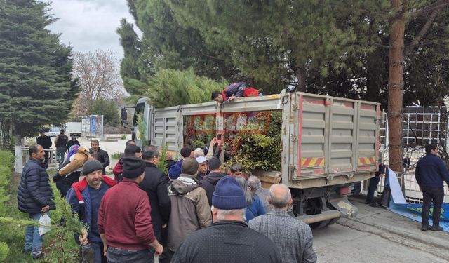Kargı'da Vatandaşlara Fidan Dağıtıldı