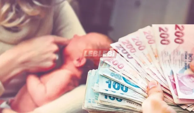 Doğum Yardımları Başladı! Başvuran Her Anneye 5 Yıl Boyunca Ödenecek