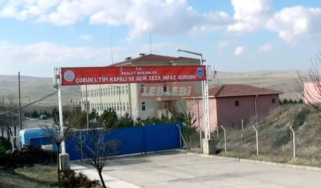 İki Cezaevi Firarisi Aranıyor