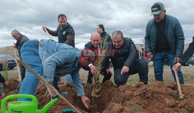 Bayat Yeşille Bürünüyor