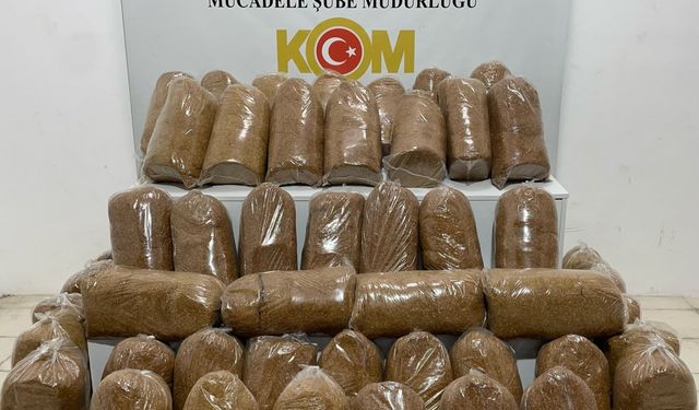 240 Kilogram Kaçak Tütün Ele Geçirildi