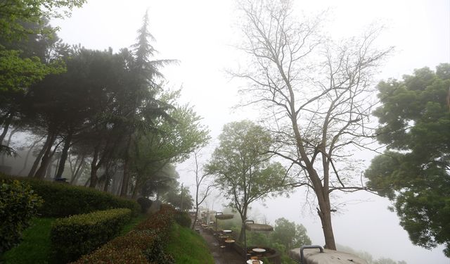 Orta ve Doğu Karadeniz'de hava ulaşımına sis engeli