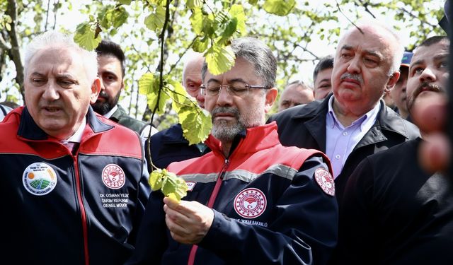 Tarım ve Orman Bakanı İbrahim Yumaklı, Giresun'da Zirai Dona İlişkin Açıklamalarda Bulundu