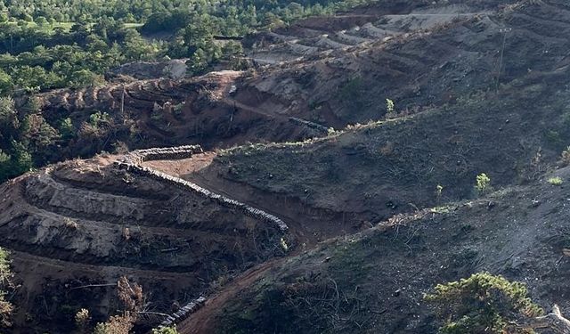 Yangınlarda Zarar Gören Alanlar 5 Milyon 350 Ağaçla Yeşillendirilecek