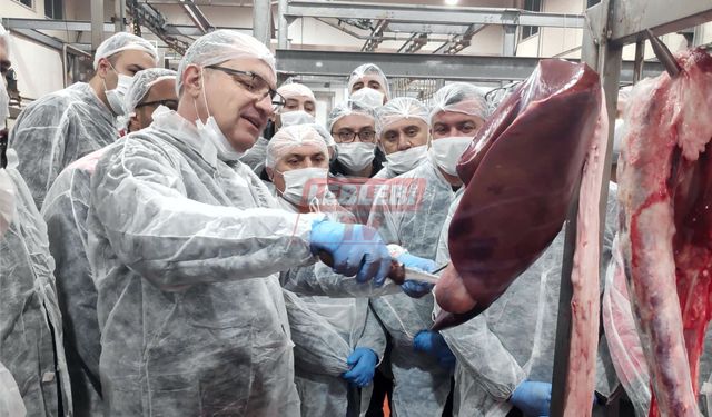 HALK ET, “Resmi Veteriner Hekim Eğitim Programına” Ev Sahipliği Yaptı