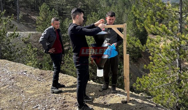 İskilip ve Kavak’ta Orman Zararlılarıyla Biyoteknik Mücadele Devam Ediyor