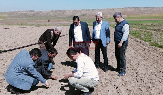 Alagöz, “Son 30 Yılın En Büyük Zirai Don Olayı"