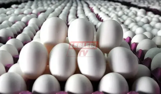 Yumurta Fiyatları Rekor Kırıyor