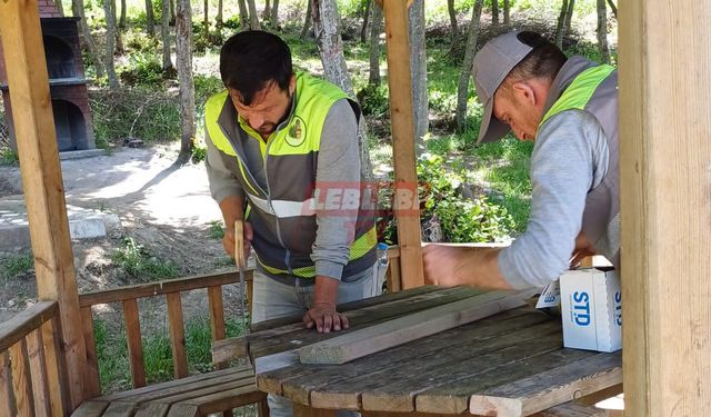 Yeşil Göl Mesire Alanında Kamelyalar Onarılıyor