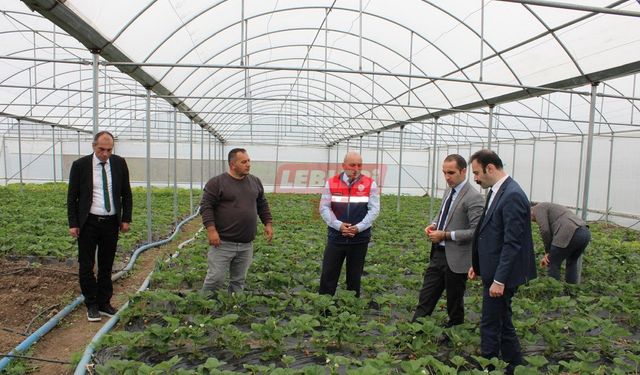 Kaymakam Polat, Örübağ ve Şeyh Köyü’nde İncelemelerde Bulundu