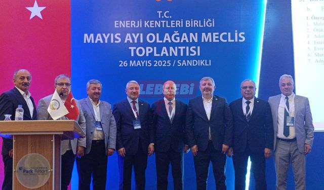 Gelgör, Enerji Kentler Birliği Plan Ve Bütçe Komisyonuna Seçildi
