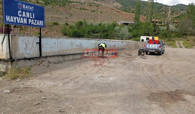 Bayat Hayvan Pazarında Aydınlatma Yapıldı
