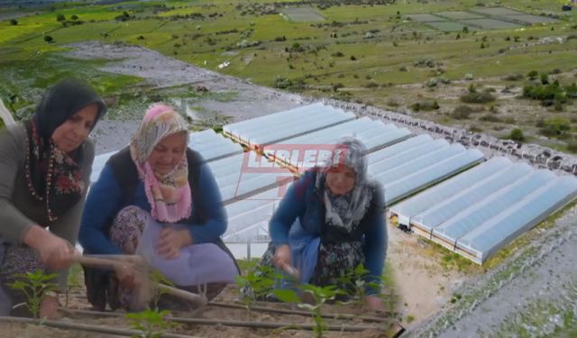 Yerel Kalkınmada Kadın Eli Ve Anne Dokunuşu