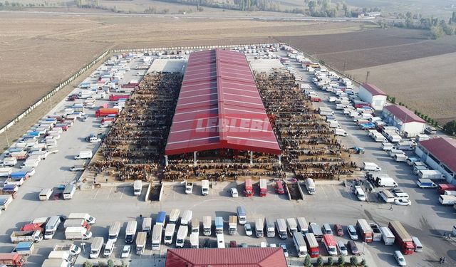 Kurban Kesim Noktaları Açıklandı