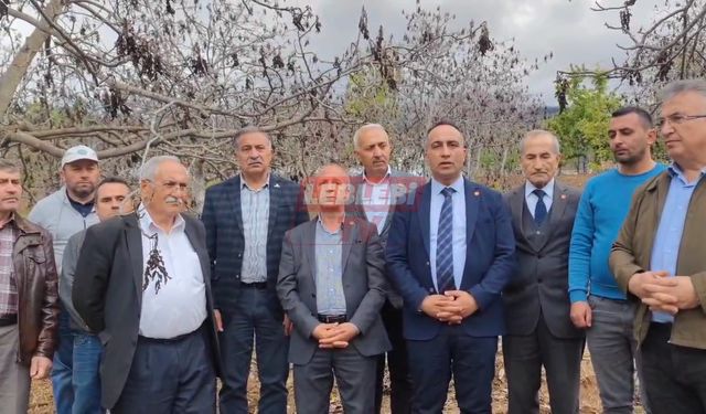 Dinçer Solmaz, “Ceviz Üreticilerinin Ayırım Olmaksızın Zararı Karşılanmalı”