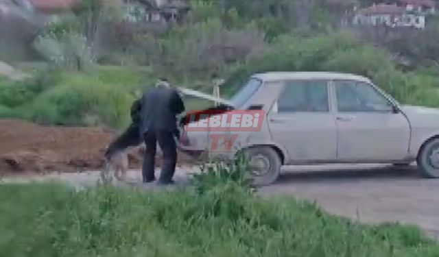 Asayiş