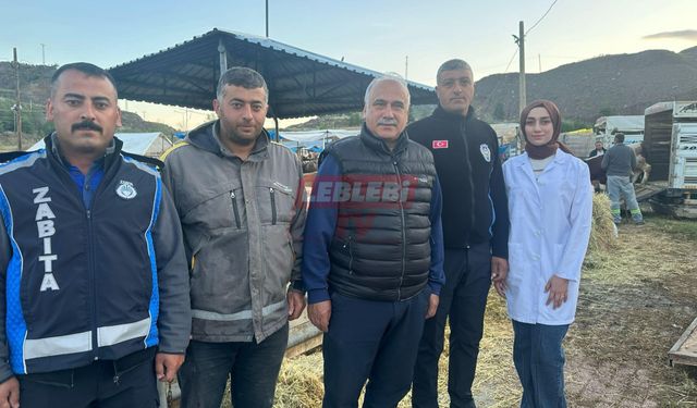 İskilip Hayvan Pazarı Bayram Öncesi Hem Kalabalık, Hem Düzenli