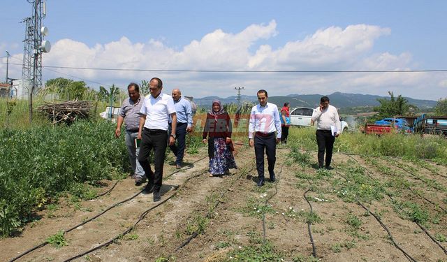 Kaymakam Polat Çilek Üreticilerini Ziyaret Etti