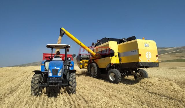 Çorum'da Arpa Hasadına Başlandı