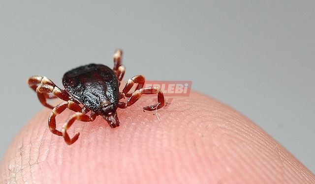 KKKA Hastalığı Şüphesiyle Tedavi Gören Kişi Öldü