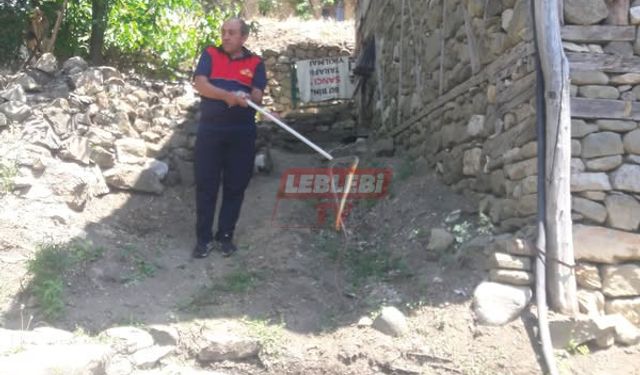 Köyde Evlere Girmeye Çalışan Yılan Paniğe Neden Oldu