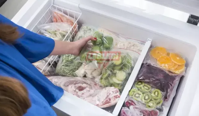 Dondurulmuş Gıdalar Ne Kadar Güvenli?