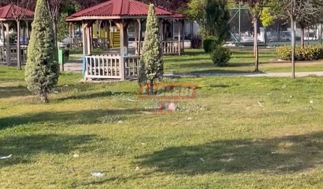 Sanayideki Parklar İçler Acısı Durumda