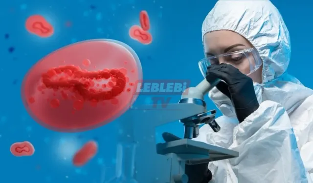 Bir Tek Antibiyotik Kaldı, O Da Dirençli Hale Gelirse Büyük Kriz Kapıda