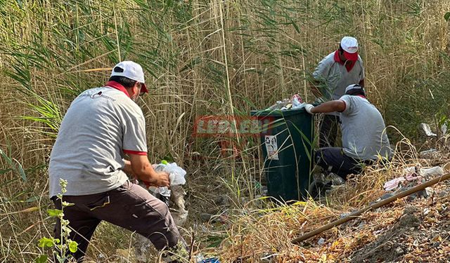 Belediye Diğ Çayı ve Otluk Alanları Temizledi