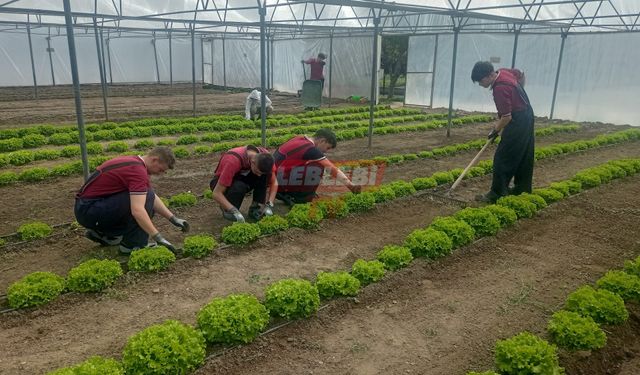 Tarım Meslek Lisesi'ne Öğrenci Kayıtları Başladı