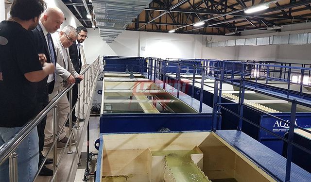 Bayat’ta Kunduzlu Barajı Sayesinde Su Kesintisi Olmuyor