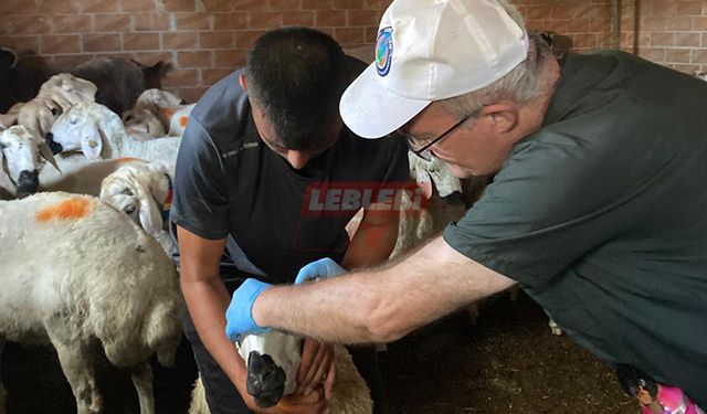 60 Yıl Sonra Tekrar Görülen Virüsle Mücadele Devam Ediyor