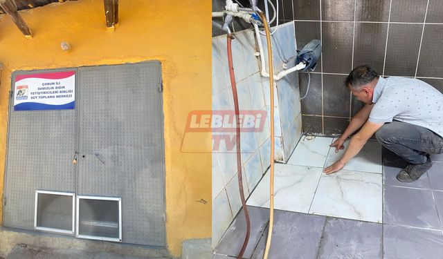 Süt Toplama Merkezleri Modernleşiyor